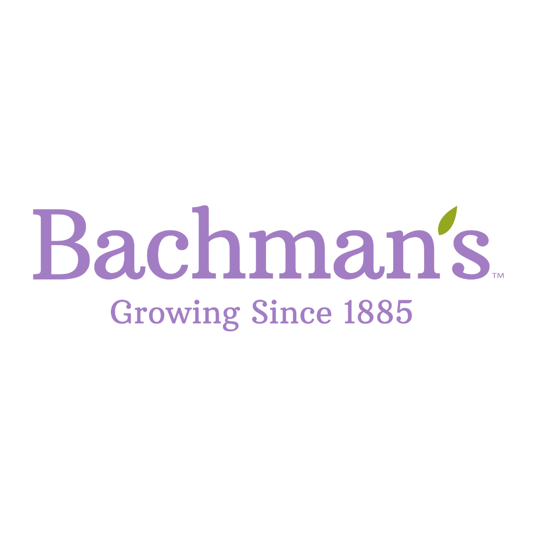 Bachman’s