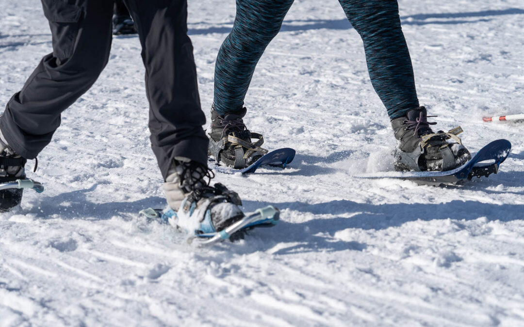 Snowshoe
