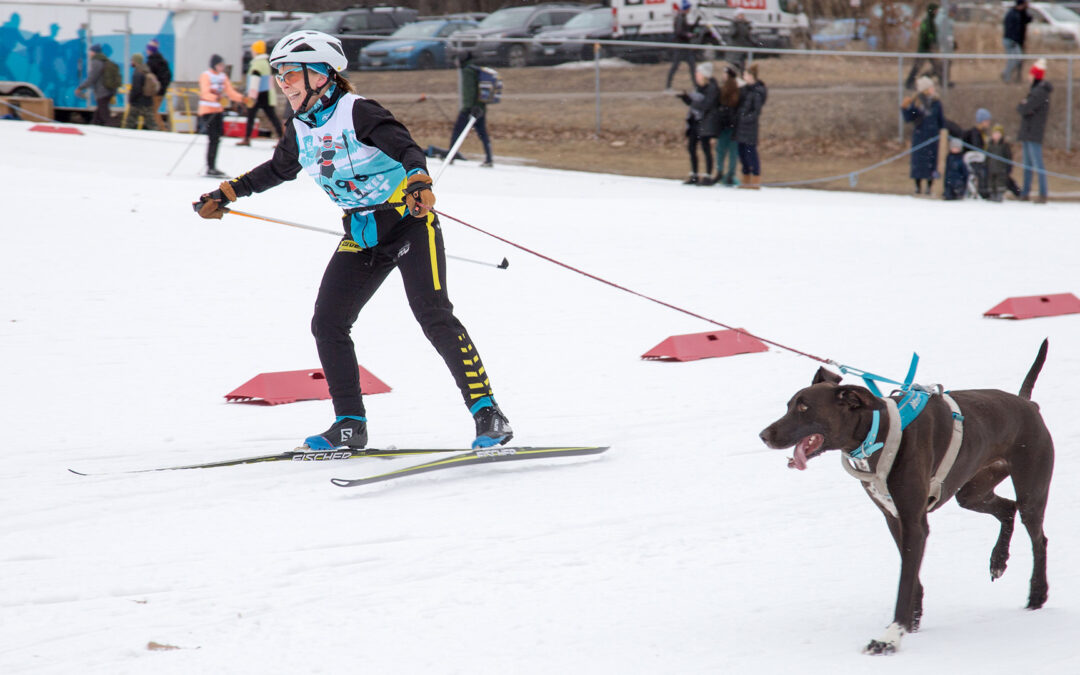 Skijor